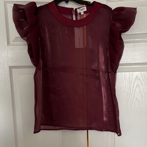 Burgundy Sheer Blouse